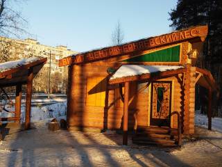 В пермском Черняевском лесу начал работать визит-центр