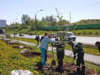 В Перми идет подготовка к весенней озеленительной кампании