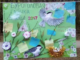 В Перми подведены итоги городской экологической акции «Весенний скворечник»