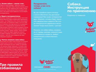 В Перми реализуются проекты по пропаганде гуманного отношения к животным