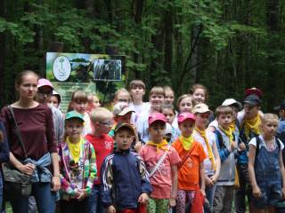 В Черняевском лесу в Перми появится лесной зеленый класс