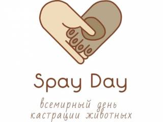 В Перми проходит всемирный день стерилизации животных SPAYDAY