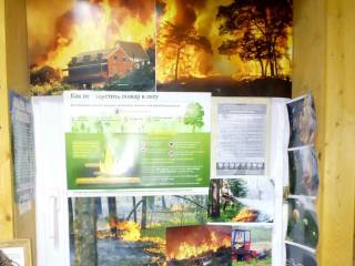 В визит-центрах Пермского городского лесничества открылась выставка посвященная профилактике пожаров