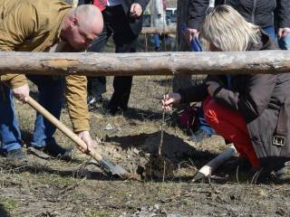 Участники «Национального Лесного форума» посадили яблони, груши, розы и кедр в Черняевском лесу