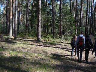 В Перми "Всероссийское общество охраны природы" проводит "Прогулки с экологом"
