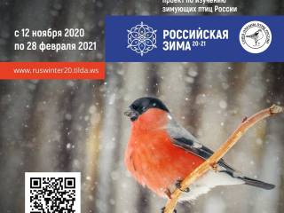 В Перми проходит всероссийский исследовательский конкурс «Российская зима»