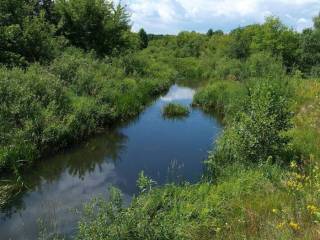 Эксперты отметили тенденцию к самоочищению пермской реки Данилихи