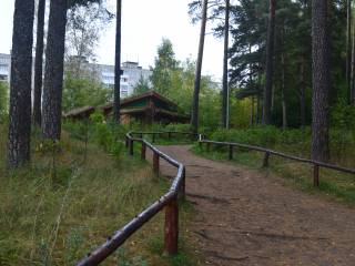 В Перми арендатор оборудует рекреационную зону на территории Черняевского леса