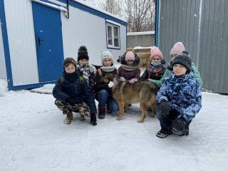 В Перми волонтёры помогают в дрессировке малоконтактных собак из муниципального приюта
