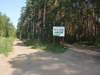 Молодежный совет пермского филиала "Рослесинфорг" провел "субботник" в городских лесах 