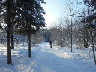 В городских лесах Перми открывается лыжный сезон