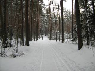 В новогодние праздники самыми популярными местами отдыха в Перми стали Черняевский лес и Липовая гора