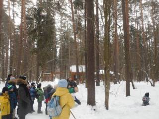 В городских лесах Перми проходят познавательные прогулки с лесничими