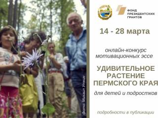 Жители Перми могут принять участие в краевом конкурсе эссе «Удивительное растение Пермского края»