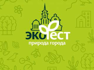 Помощь приютам и установка домиков для насекомых: в Перми открылась регистрация на акцию «Экодоброволец»