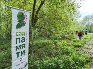 В Серебрянском парке Перми высадили дубы и кустарники