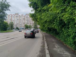 В Перми на улице Столбовой после реконструкции заменят старовозрастные и аварийные деревья