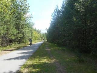 В Черняевском лесу при реализации проекта «Зелёное кольцо» появятся новые маршруты для занятия спортом