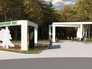 В сентябре начнётся подготовка к благоустройству Черняевского леса в рамках проекта «Зелёное кольцо»