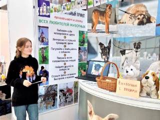 Пермский муниципальный приют для животных принял участие в выставке собак