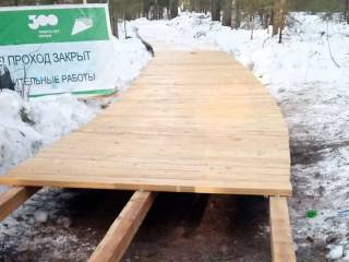 В рамках проекта «Зелёное кольцо» в Черняевском лесу закончен монтаж одного участка деревянного настила