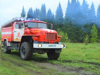 В городских лесах Перми начинается пожароопасный период