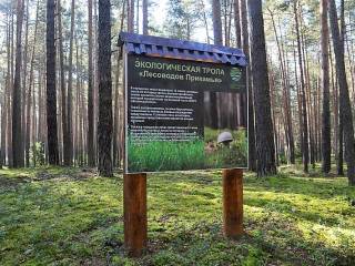 Жителей Перми приглашают совершить прогулку по экологической тропе «Тропа лесоводов Прикамья»
