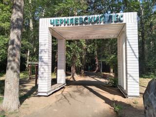 В рамках проекта «Зелёное кольцо» в ООПТ «Черняевский лес» закончен монтаж 7 входных групп