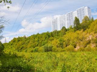 В рамках проекта «Зеленое кольцо» подрядная организация начала обустройство входа на экотропу «Егошихинская долина»