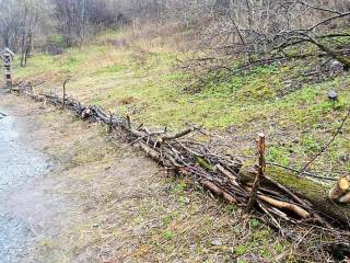 В Перми в долине реки Данилихи пройдет экопрактика «Трухлявый заповедник»
