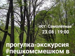 В Перми в Серебрянском парке пройдет экскурсия-прогулка «Пешком с мешком»