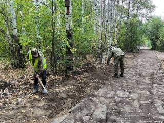 В рамках проекта «Зелёное кольцо» в Черняевском лесу обустроен первый этап покрытия аллеи «Меридиан»