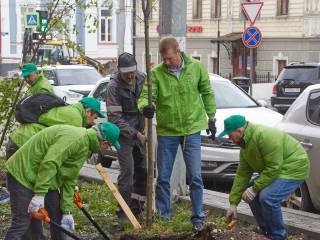 В Перми стартовала осенняя озеленительная кампания