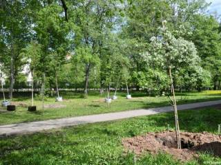 В муниципальном питомнике растений в Перми будет высажено 900 новых саженцев