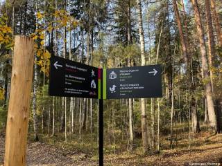 По поручению Эдуарда Соснина устранены замечания при реализации проекта «Зелёное кольцо» в Черняевском лесу