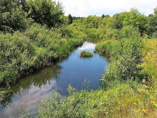В Перми проведена работа по разработке мероприятий по сохранению экосистем долин малых рек Данилихи и Егошихи