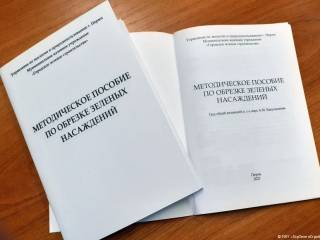 В Перми издано методическое пособие по обрезке зелёных насаждений