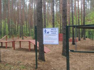 В городские леса Перми владельцев собак приглашают на специальные площадки для общения с питомцами