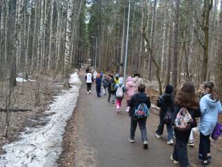 В Перми в Черняевском лесу школьникам рассказали об истории леса, местной флоре и фауне