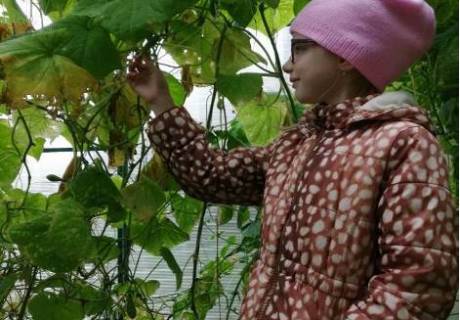В Перми появилась экологическая тропа «Юный аграрий»