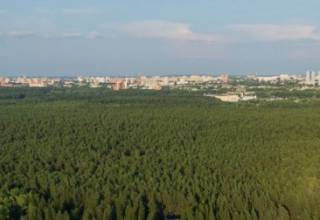 ООПТ - охраняемый ландшафт «Черняевский лес» 