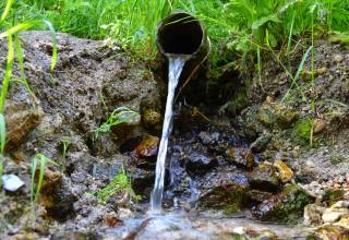 В Перми представлена оценка качества вод в родниках города за период 2021 года