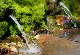 С 2016 года в Перми прекращена практика проведения мониторинга качества воды в родниках